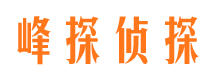 天山侦探公司